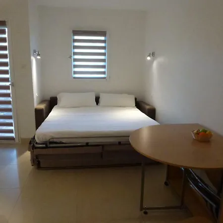Les Palmiers Apartament Nicea